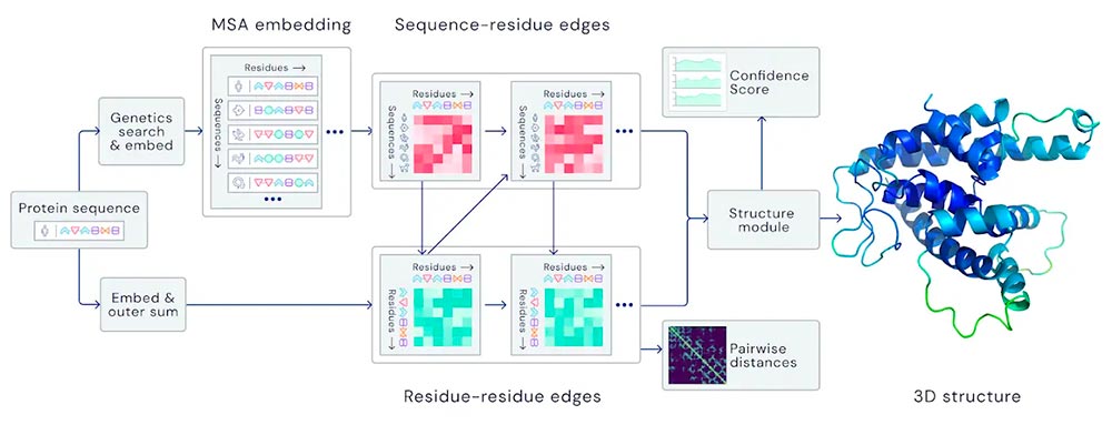architecture d un reseau neuronal
