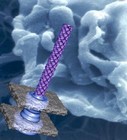 Reconstruction du système de sécrétion de type III chez les shigelles à l'aide d'un algorithme espérance-maximisation Reconstruction du système de sécrétion de type III chez les shigelles à l'aide d'un algorithme espérance-maximisation