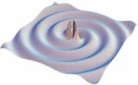 Image Image