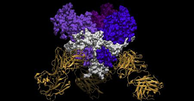 OET ebola rendering1