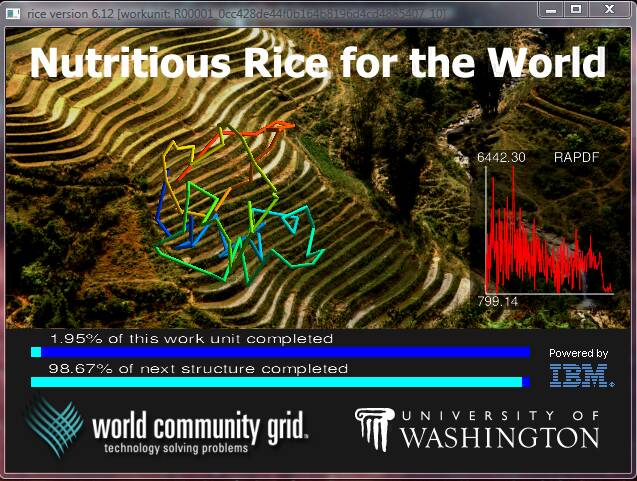 riz
